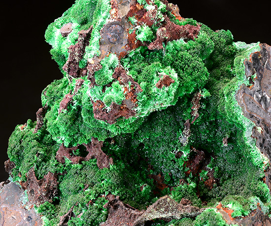 Cuprian Austinite - Ojuela Mine, Mapim, Durango, Mexico