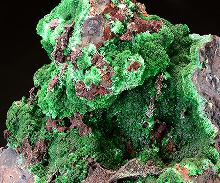 Cuprian Austinite - Ojuela Mine, Mapim, Durango, Mexico