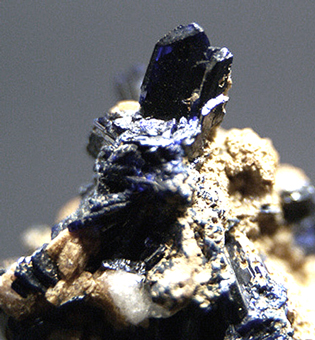 Azurite - Touissit Mine - Morocco