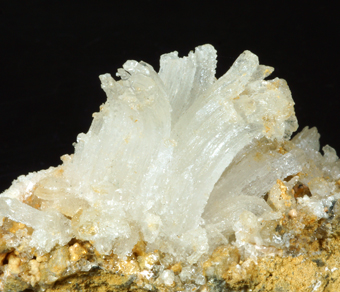 Gypsum, Bou Bekker mine, Touissit District, Morocco