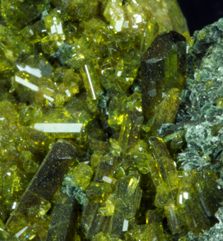 Epidote, Lago Nero, Usseglio, Vi valley - Italy