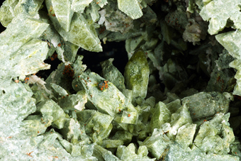 Fassaite - Frerone Mount, Lombardy, Italy.