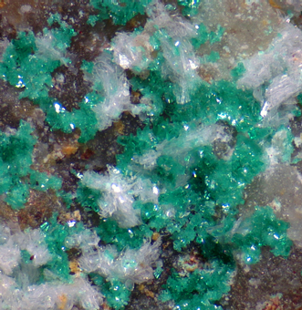 Tondiite (TL) - Santo Domingo mine, Caleta Vtor district, Arica and Parinacota Region, Chile