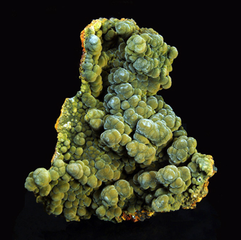 Mottramite - Ojuela mine, Mapim, Durango, Mexico