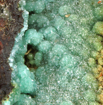 Cuproadamite - Ojuela mine, Mapim, Durango, Mexico