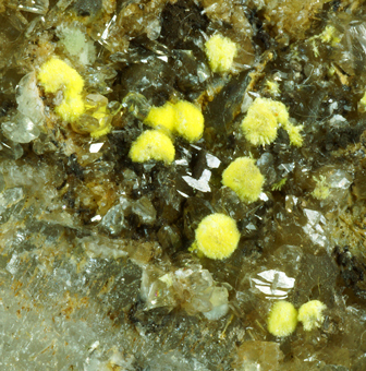 Haiweeite - Tefilo Otoni, Minas Gerais, Brazil