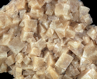 Chabazite - Wasson Bluff, Parrsboro, New Scotland, Canada