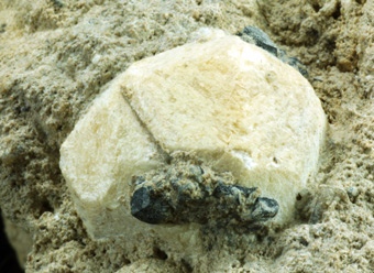 Leucite - Roccamorfina Volcanic Complex,  Campania, Italy