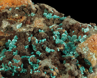 Rosasite - Ojuela mine, Mapim, Durango, Mexico