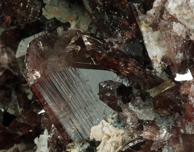 10969_AXIN_DANI - Axinite -(Fe) - Ras Koh Mountains, Kharan district, ,Balochistan, Pakistan