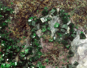 Grossular Garnet var. Uvarovite - Saranovskii mine, Urals Region, Russia