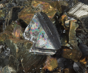 11091_TETR_DANI - Tetrahedrite, Pyrite, Quartz - Pachapaqui district, Bolognesi, ncash, Per