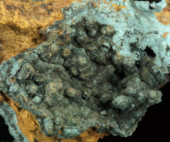 Woodruffite - Ojuela Mine, Mapim, Mun. de Mapim, Durango, Mexic
