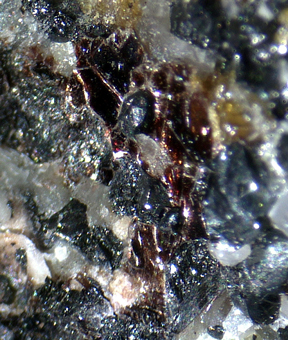 11534_HEND_DANI - Hendricksite - Franklin mining district, New Jersey, USA