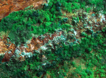 Cornubite - Majuba Hill mine, Pershing Co., Nevada, USA