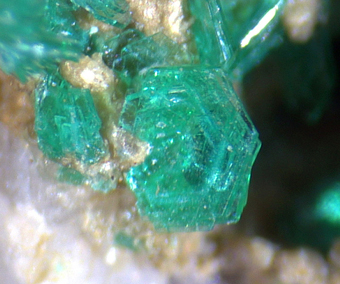 Chalcophyllite - Wheal Gorland, St Day, Cornwall, England, UK