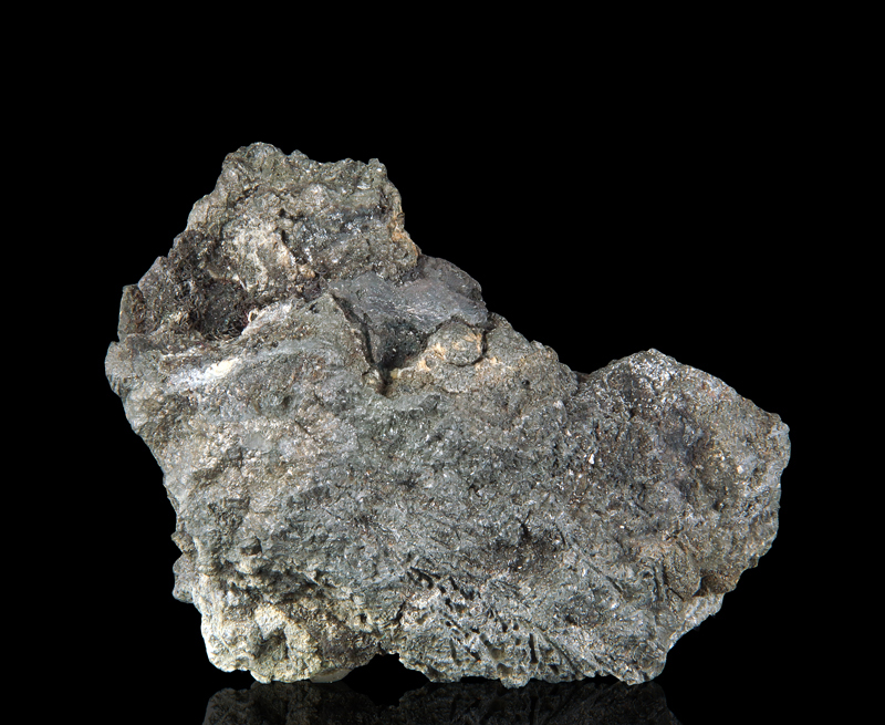 Go to www.miservice.com