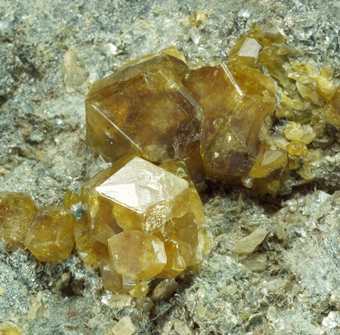 Topazolite Garnet - Roch Neir, Balme, Piedmont, Italy
