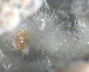 Moraesite (TL) - Sapucaia mine, Galilia, Minas Gerais, Brazil