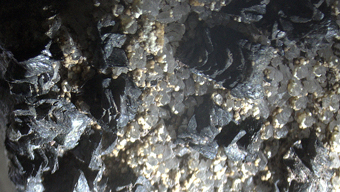 11842_MONT_DANI - Montmorillonite - Gambatesa Mine, Graveglia Valley, Italy