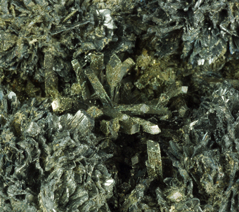 Pyrite, Franckeite  - San Jos mine, Oruro City, Bolivia