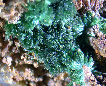 Libethenite- Las Pintadas mining district, Copiap, Atacama, Chile