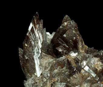 12084_AXIN_JACQ - Axinite- (Fe) - Verkhnii mine, Primorskiy Kray, Far-Eastern Region, Russia