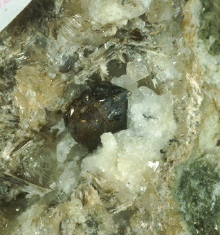 12383_VESU_DANI - Vesuvianite, Phlogophite - Mt Somma, Campania, Italy