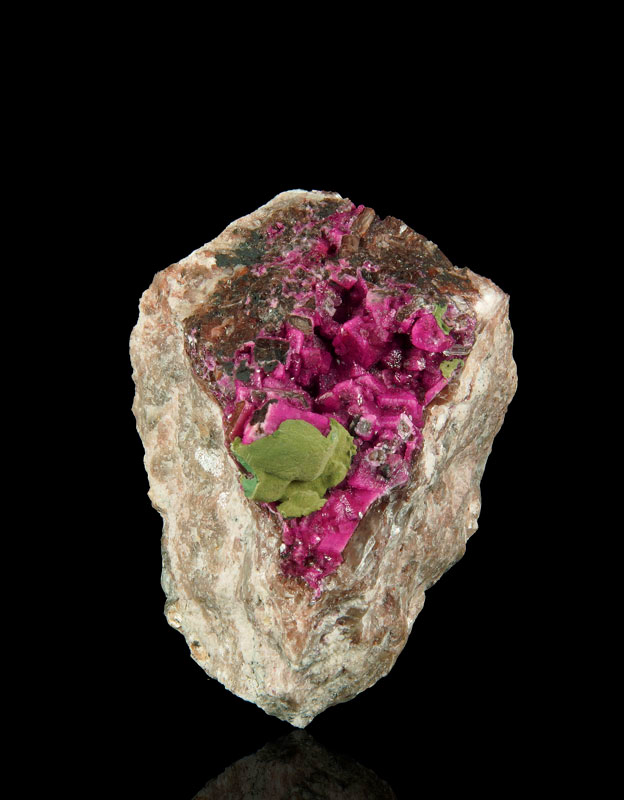 Go to www.miservice.com