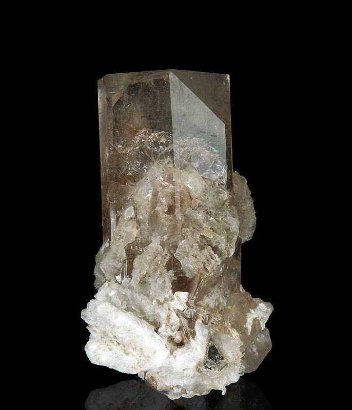 Go to www.miservice.com