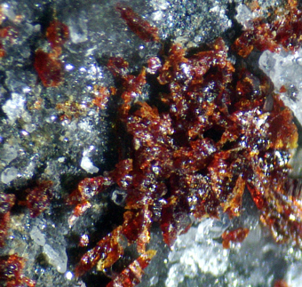 12690_MEDA_DANI - Medaite - Molinello mine, Reppia, Liguria, Italy