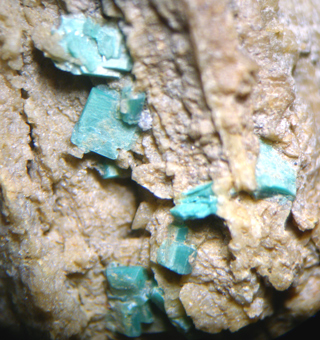 Torbernite - Bric Colm� - Italy