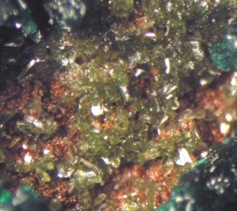 Olivenite and Malachite - Cap Garonne Mine -  France