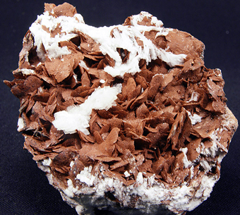 Siderite and Barite - Brosso Mine, Brosso - Italy