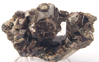 Garnet (Var. Andradite) - Montaju Mines, Traversella - Italy