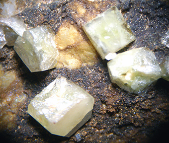 Mimetite - Santa Lucia Mine - Sardinia, Italy