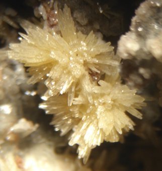 Mimetite - Santa Lucia Mine, Fluminimaggiore - Italy