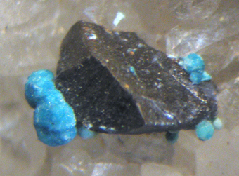 Malachite on Quartz - Giglio Island - Italy