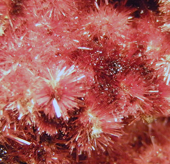 Erythrite - Agoudal, Bou Azzer District - Morocco