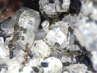 Davyne and Vesuvianite - San Vito quarry, Monte Somma -Italy