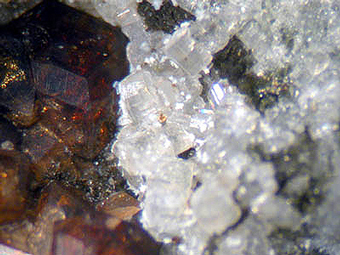 Davyne and Vesuvianite - San Vito quarry, Monte Somma -Italy