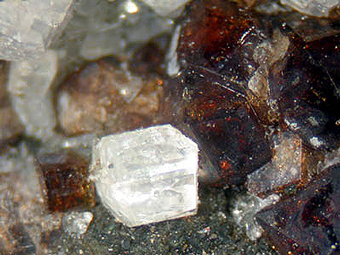Davyne and Vesuvianite - San Vito quarry, Monte Somma -Italy
