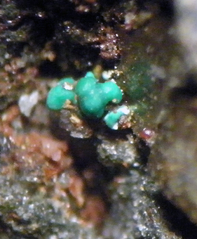 Cornubite and Carminite - Salsigne mine - Languedoc-Roussillon, France