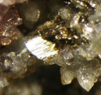 Calaverite on fluorite, Cresson mine, Cripple Creek, Colorado, USA