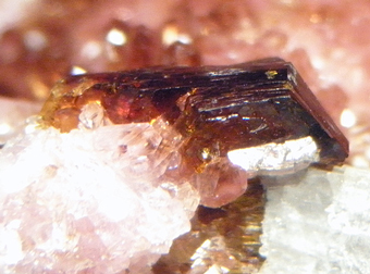 Shigaite on Rhodochrosite - N'Chwaning II Mine, Kuruman, KMF - South Africa