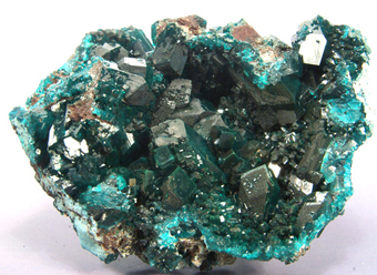 Dioptase - Reneville - Republic of Congo