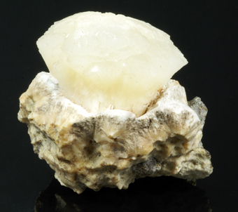 Stellerite - Aurangabad Jungle - India