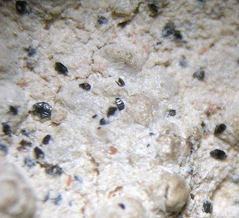 Mozartite - N'Chwaning II Mine - South Africa