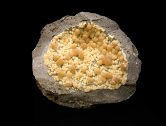 Calcite on Basalt - Pofi Quarry - Lazio, Italy
