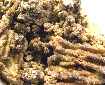 Roscherite - Piau� valley Minas Gerais - Minas Gerais, Brazil